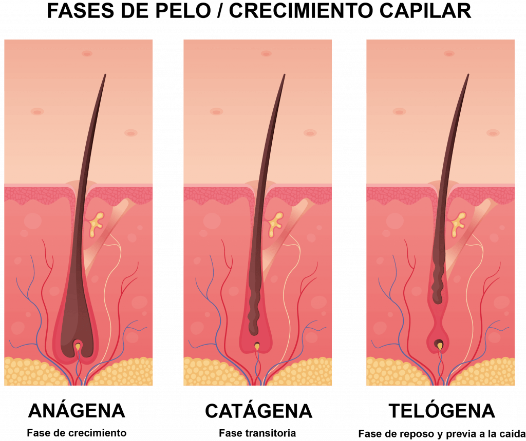 Anagen Active crecimiento capilar