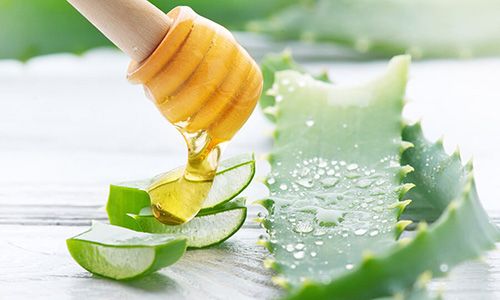 recetas capilares con aloe vera